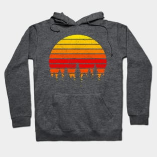 Retro Sunset Hoodie